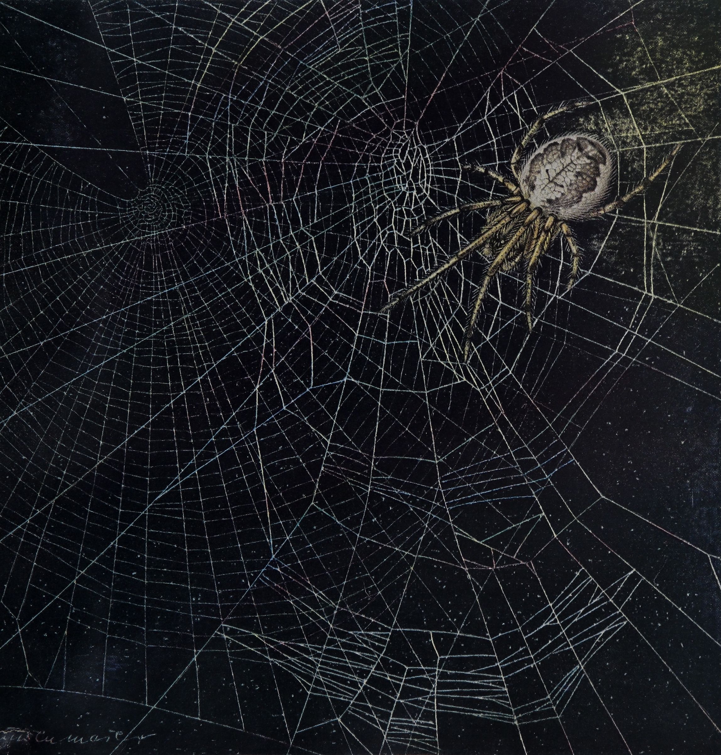 Spider Webs and Drugs <br><strong>Scientific American</strong>