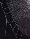 1949 Experientia- Peter N Witt