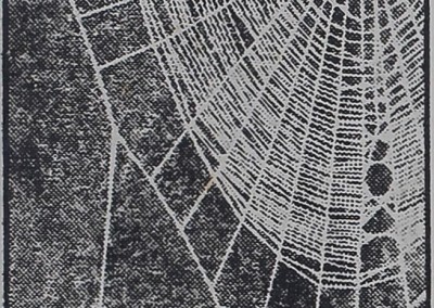 1949 Spiders Slightly Drunk - Peter Witt